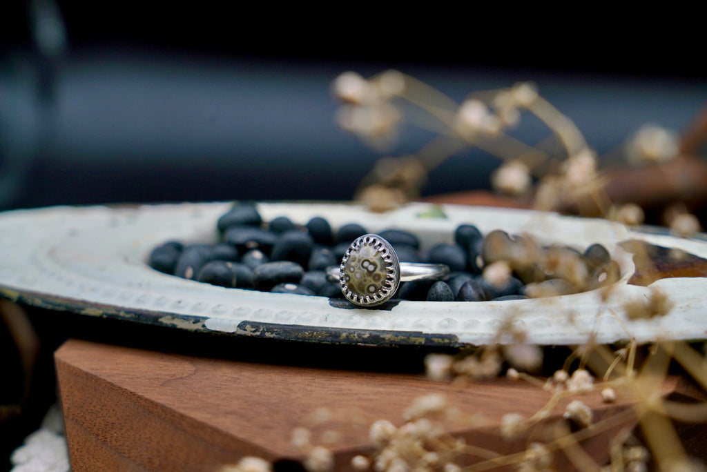 Ocean Jasper Ring SIZE 9